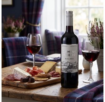 Camino Acero Malbec (75cl)