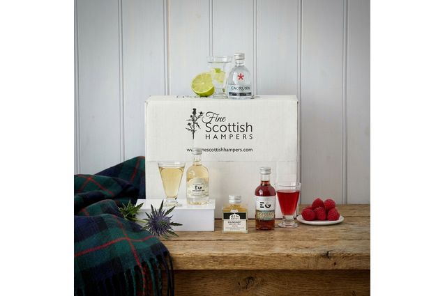 Gin Miniatures Gift Hamper